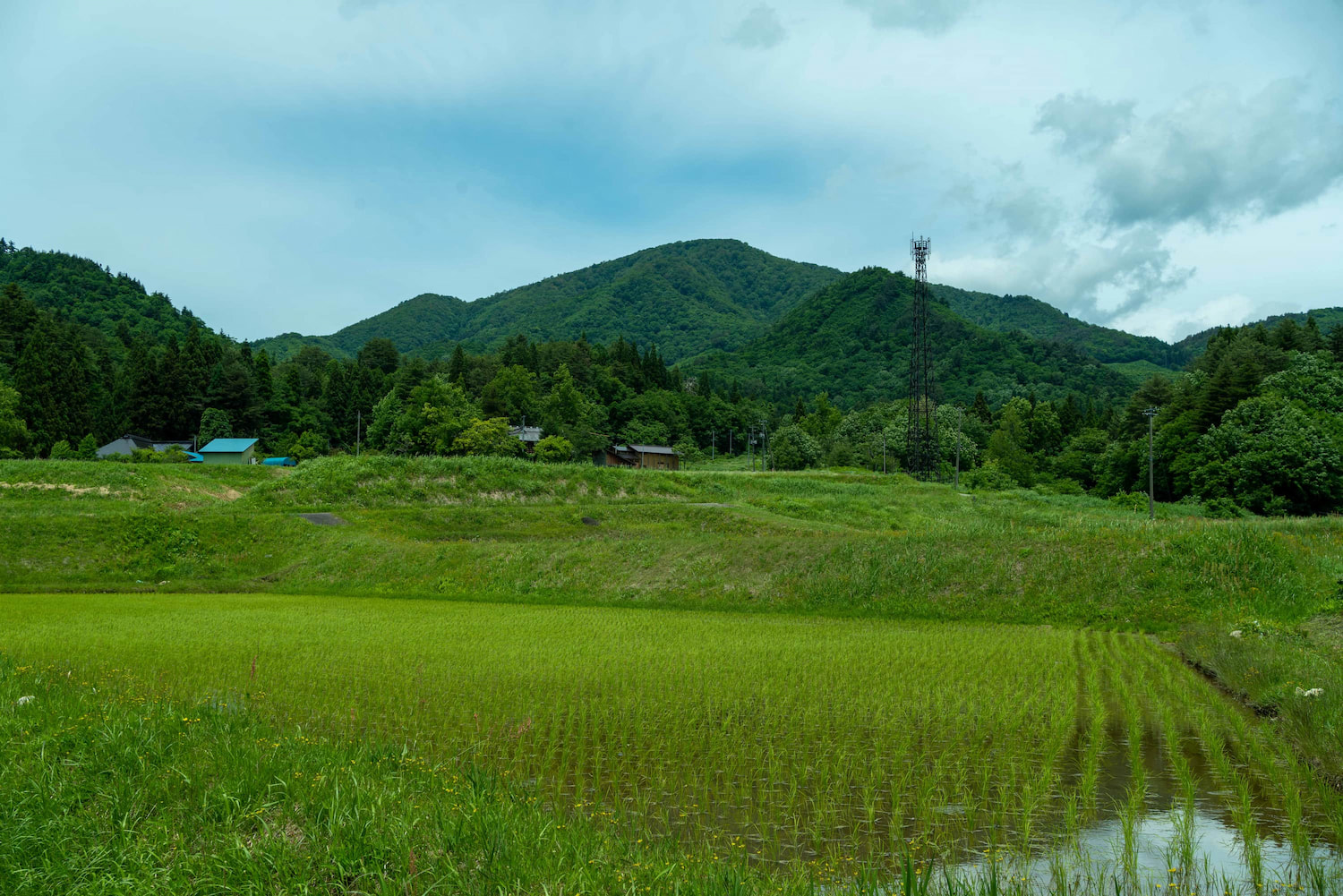 04 里山風景